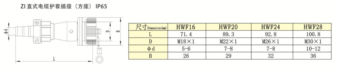 HW Series -ZI Straight Square Flange Cable 护套 Waterproof Receptacle IP65 — HW Series -ZI Straight Square Flange Cable 护套 Waterproof Receptacle IP65 Straight Cable Plug /IP55