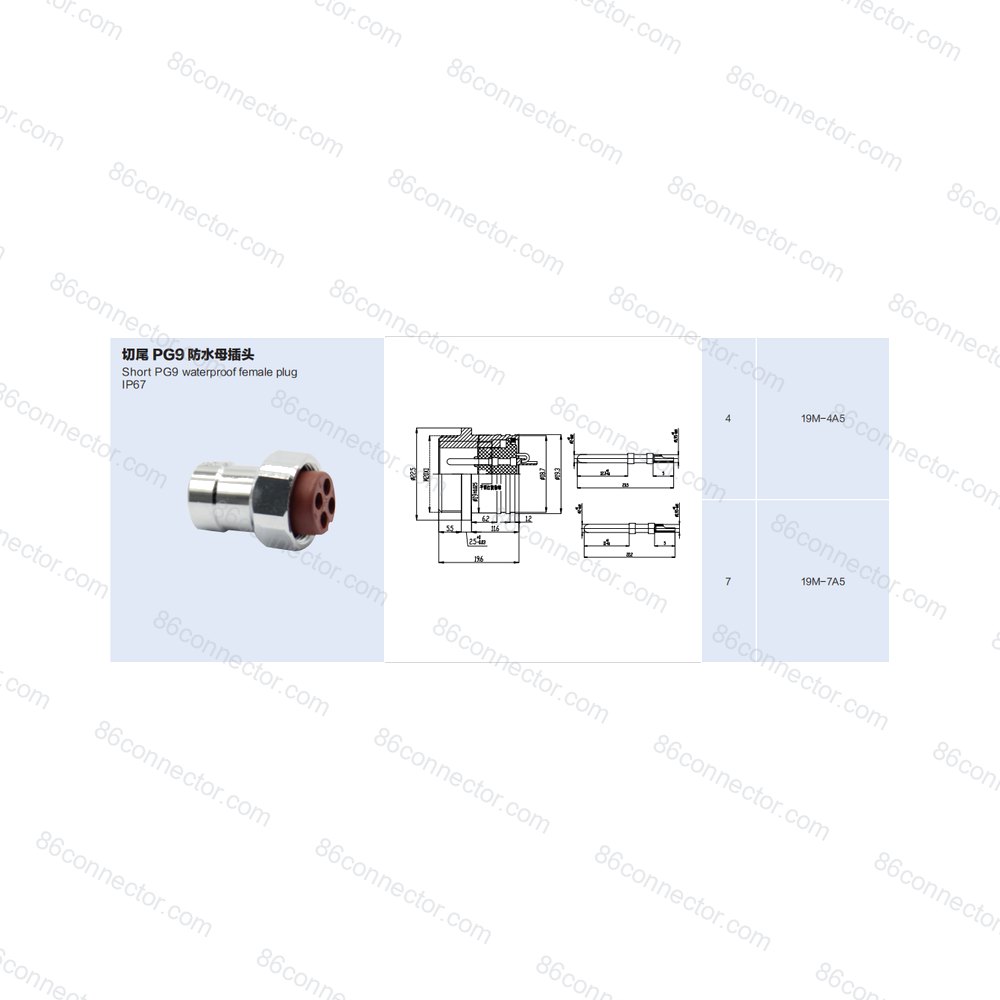 19M-A5 — Product 2