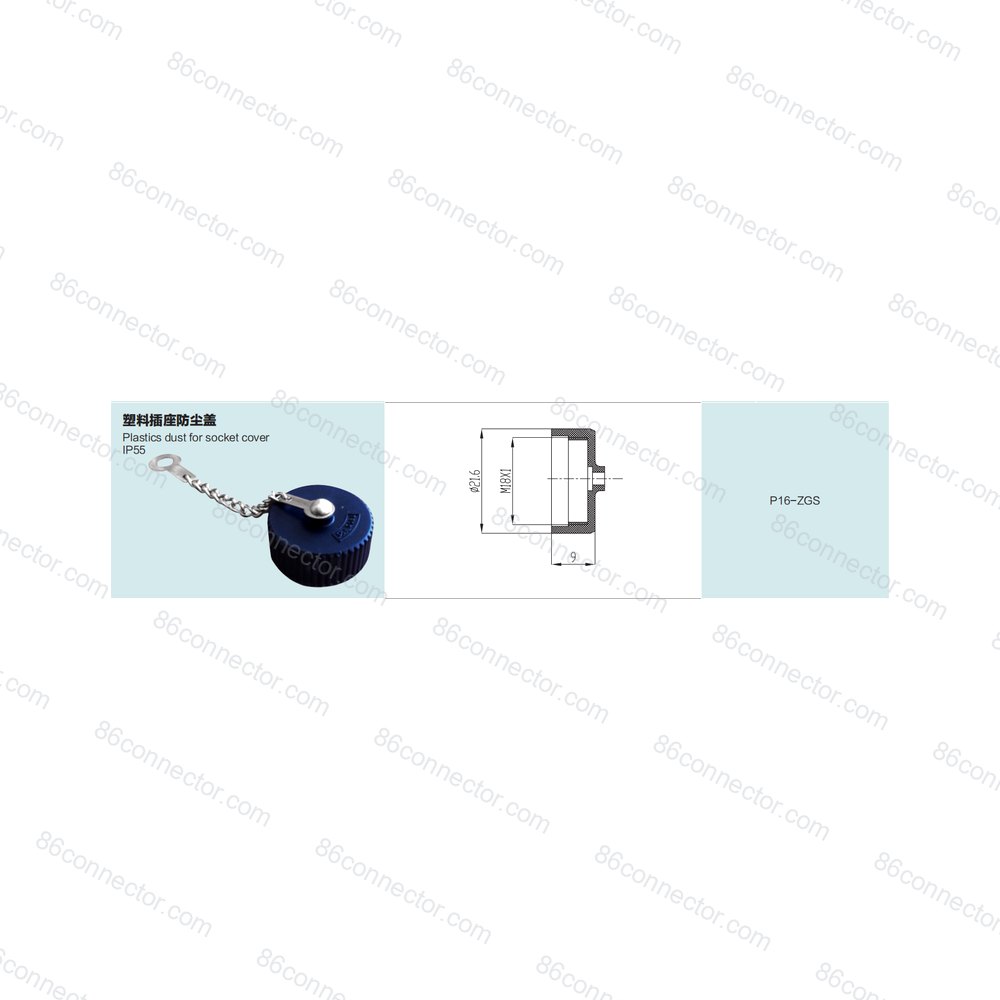 P16-ZGS — Product 2