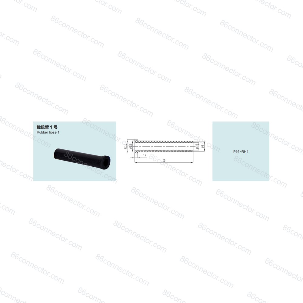 P16-RH2 — Product 2