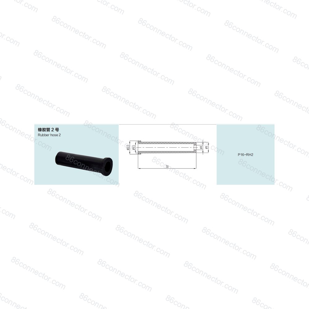 P16-RH2-2 — Product 2