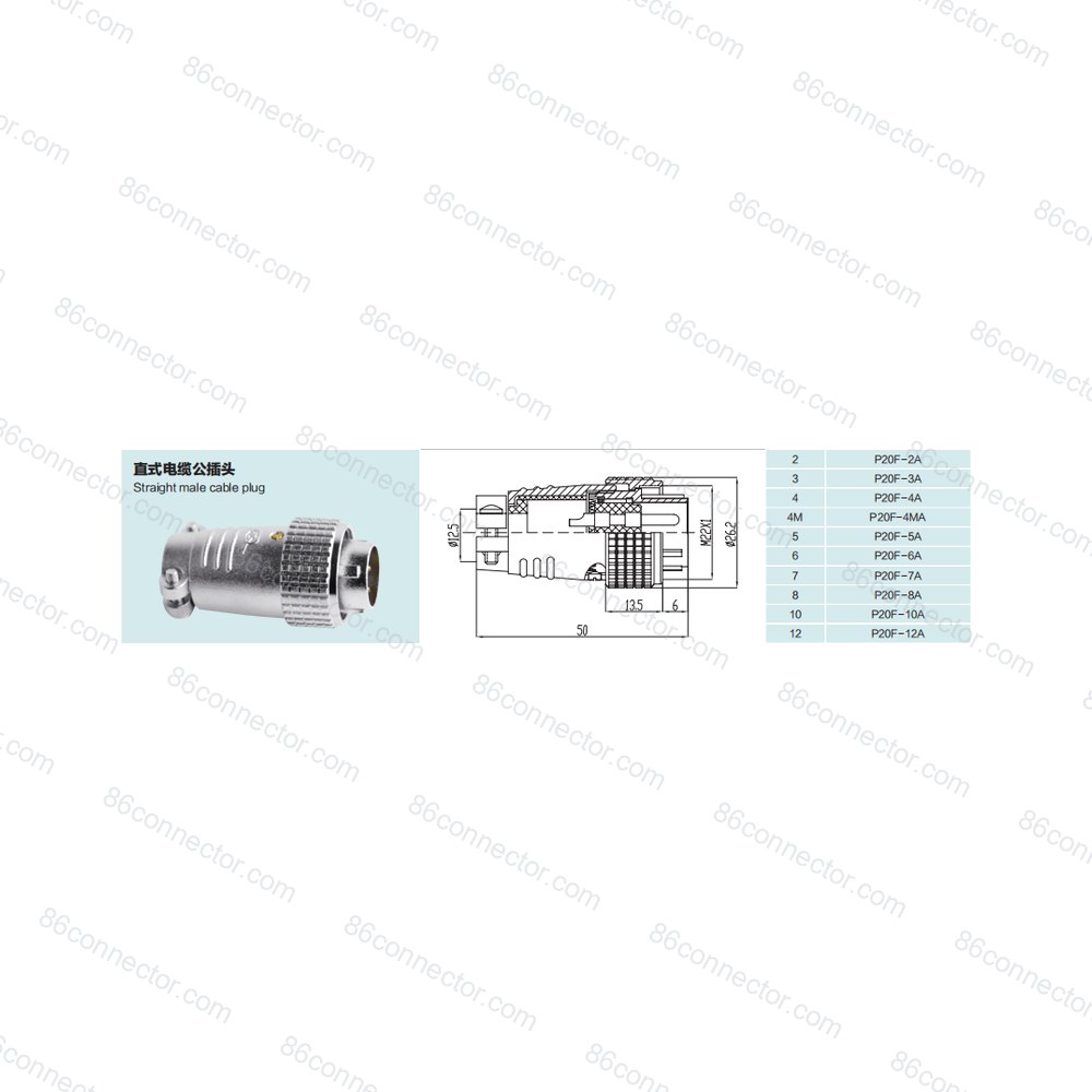 P20F-A — Product 3