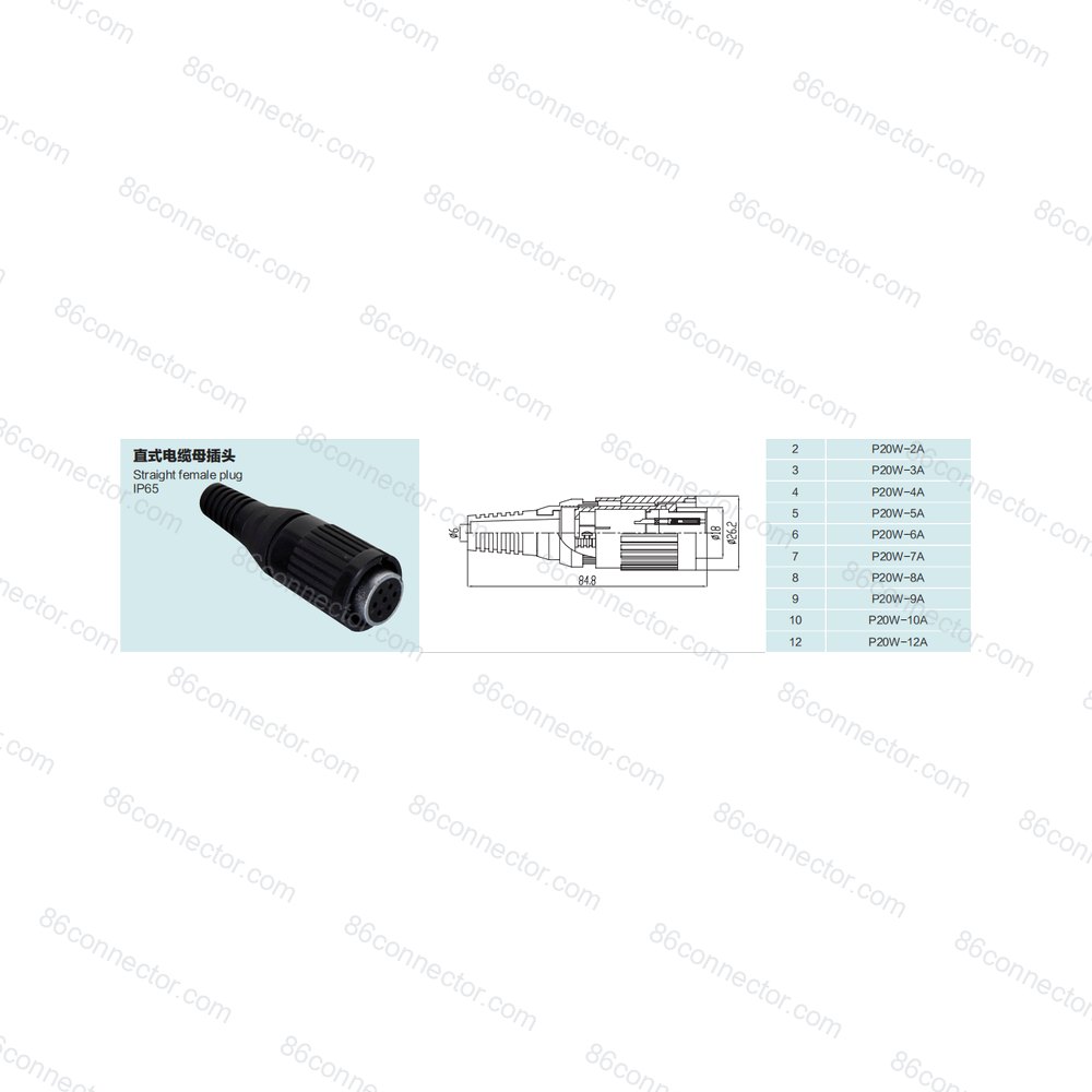 P20W-A — Product 3