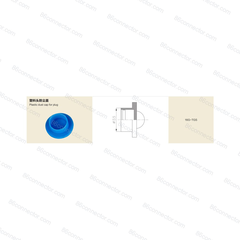 16G-TGS — Product 2