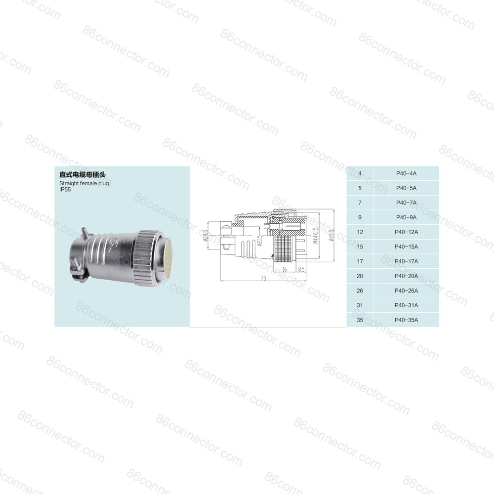 P40-A — Product 2