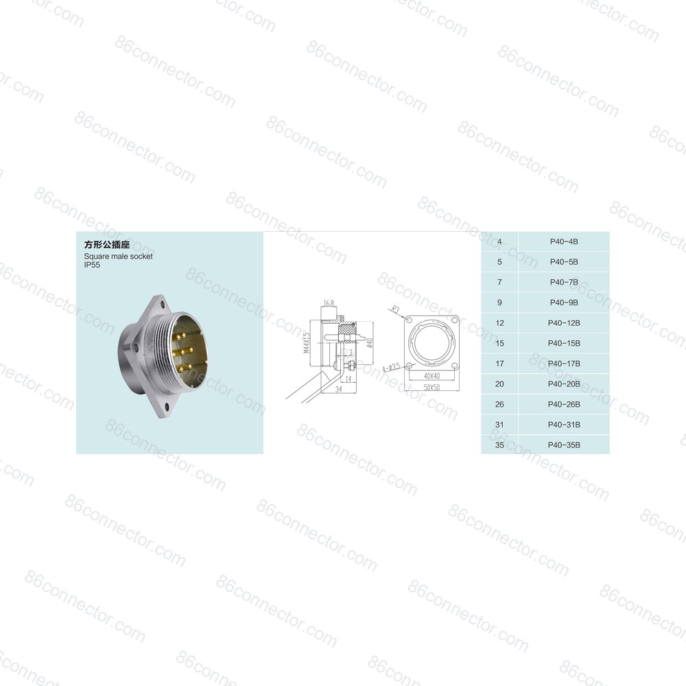 P40-B — Product 2