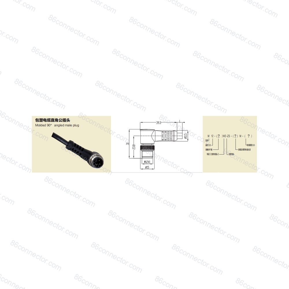 M12-W2-ZS — Product 2
