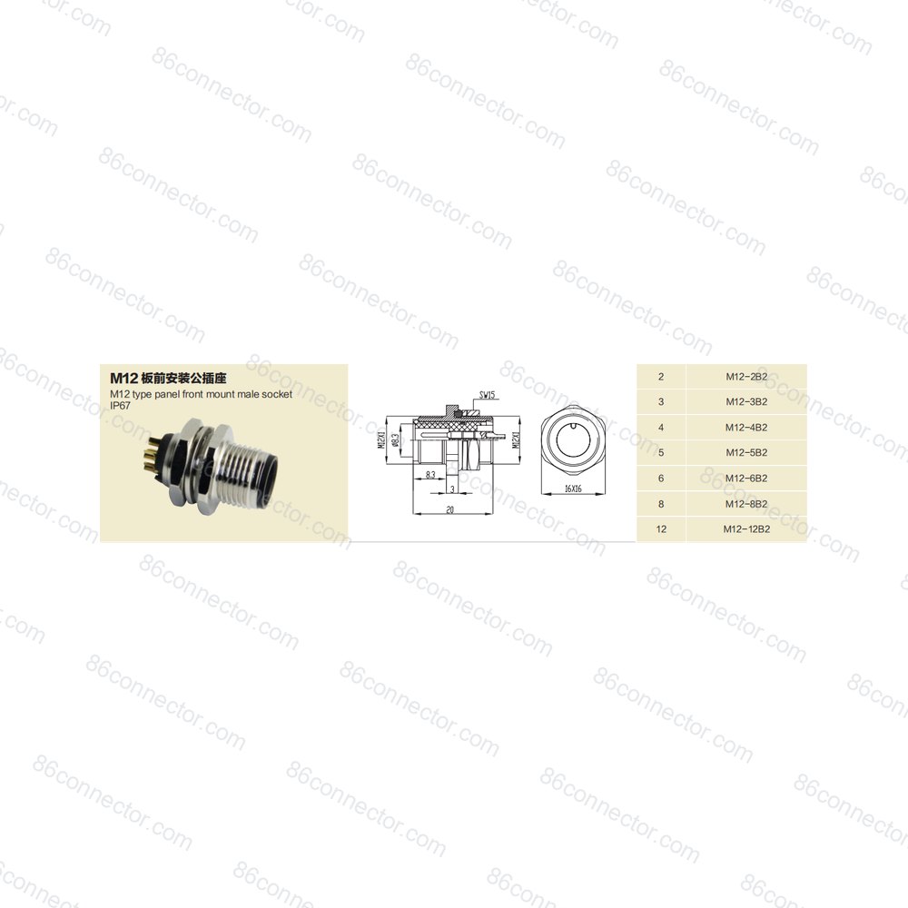 M12-B2 — Product 2