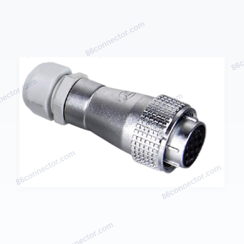 P24 — Dimensions / specs